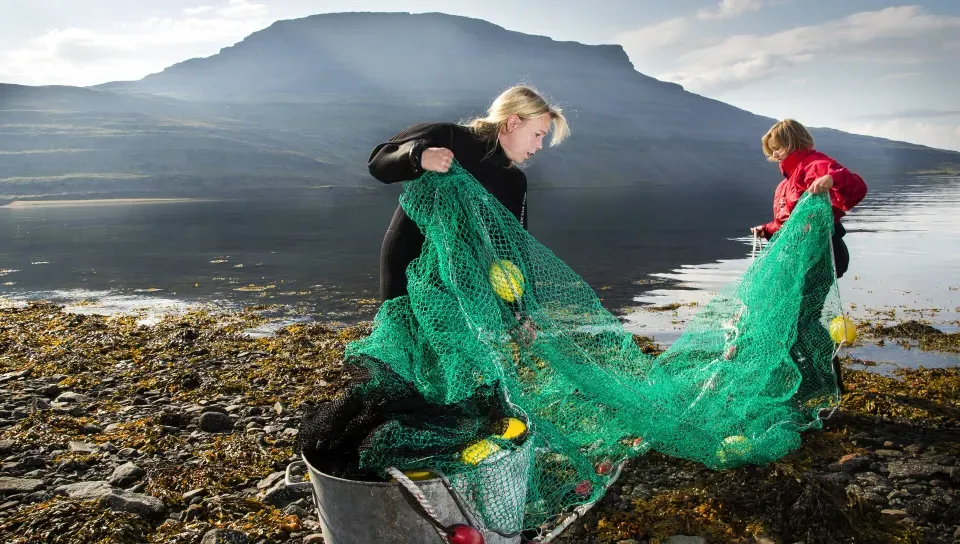 Marine Biology at the University of Iceland, Reykjavik